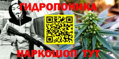 MESCALINE Кингисепп