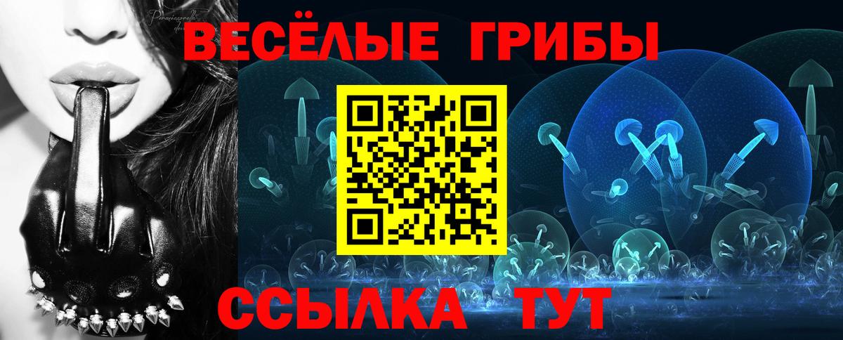 Псилоцибиновые грибы Magic Shrooms  Вход с VPN  Псилоцибиновые грибы Psilocybe  Всеволожск 